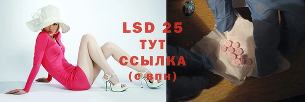 a pvp Аркадак