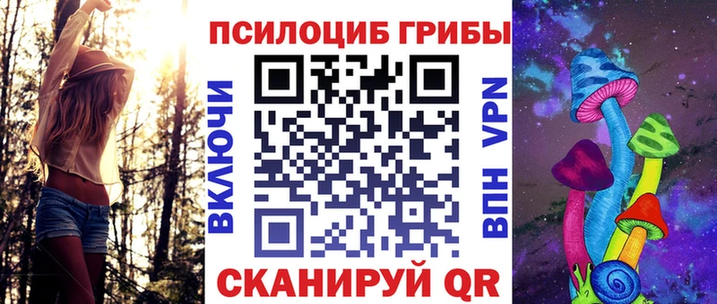 mega маркетплейс  Ишим  площадка наркотические препараты  наркота  Псилоцибиновые грибы прущие грибы 
